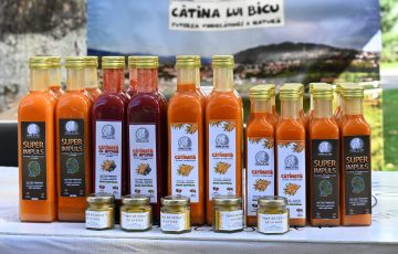 Cătina lui Bicu