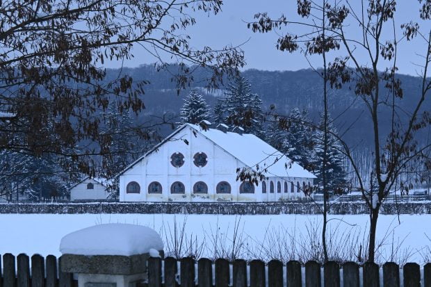 Dumbrava Stallion Warehouse