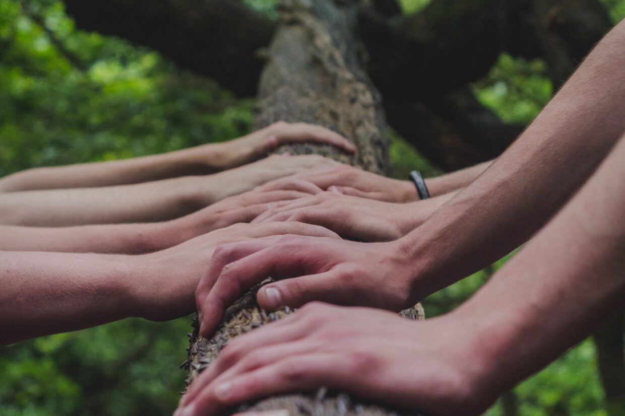 Împreună. Colaborarea este cheia unei dezvoltări sustenabile