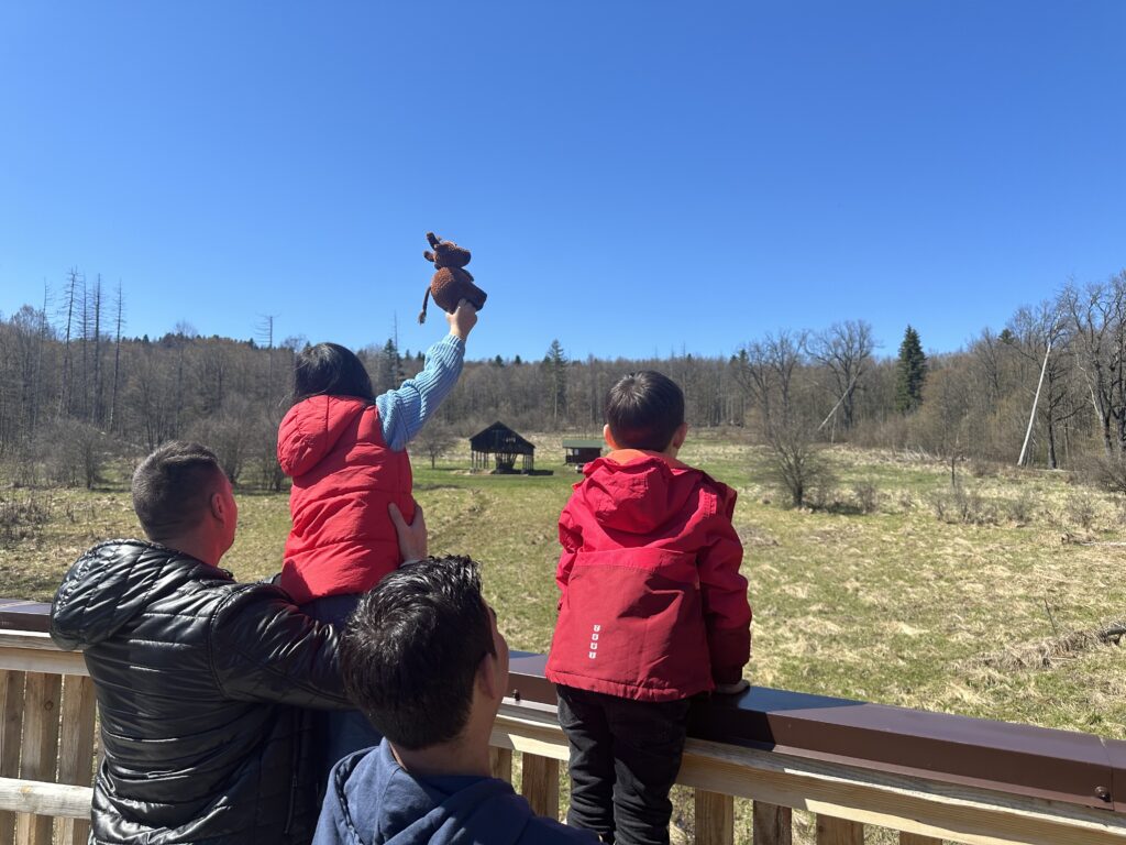 BisonEl, mascota ecodestinației diun județul Neamț, ne indică locul unde zimbrul, legendarul mamifer, poate fi admirat, în libertate.