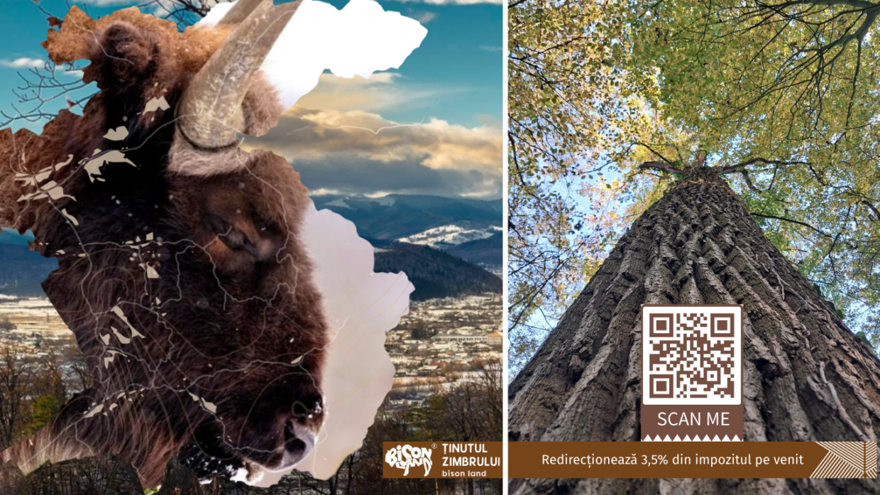 3.5% for Bison Land. Support the development of Neamț County’s ecotourism destination