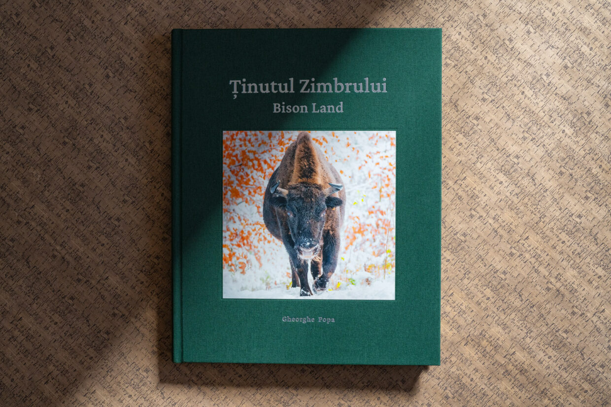 “Bison Land- A photographic journey through the wildness of Vânători-Neamț Nature Park”- the new album by photographer Gheorghe Popa